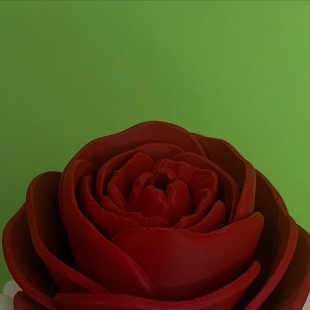Scatola regalo con rosa