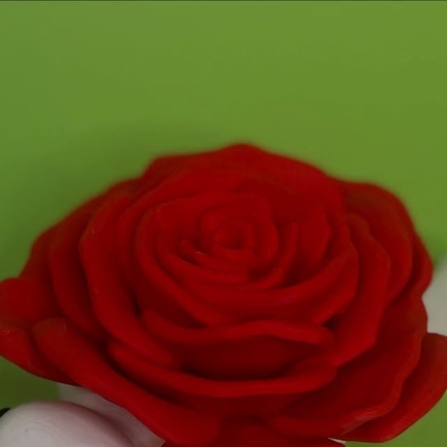 Tartaruga articolata con rosa